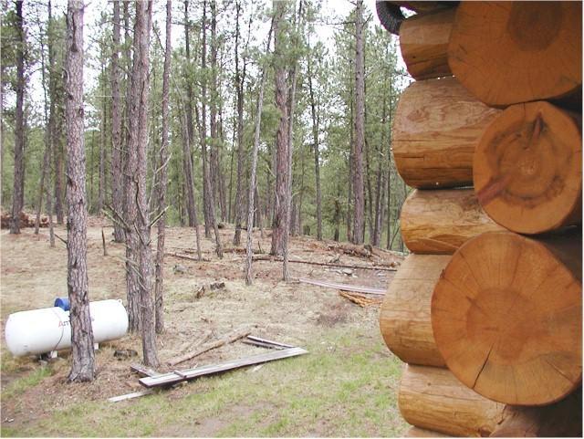 Trails End Lodge Custer Δωμάτιο φωτογραφία